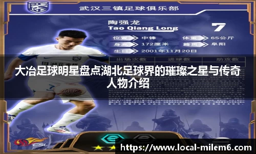 大冶足球明星盘点湖北足球界的璀璨之星与传奇人物介绍